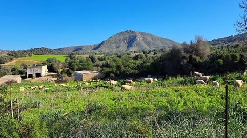 Ubicación sensacional dentro de una zona natural prácticamente virgen que ofrece vistas infinitas de la bahía de Alcudia, Formento, imatge 4