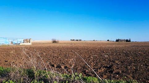 Foto 5 de Terreny en venda a Callejón de Los Llanos, 27a, Los Franceses – La Vega, Cádiz