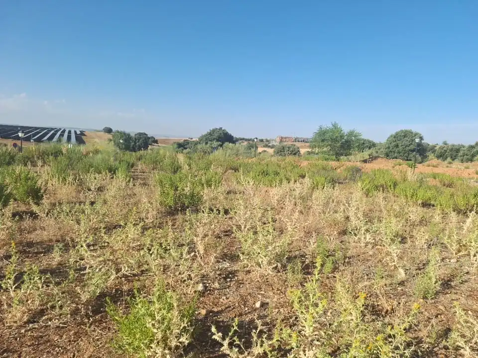 Terreny residencial en venda a NAVA BALBONO, imagen 8