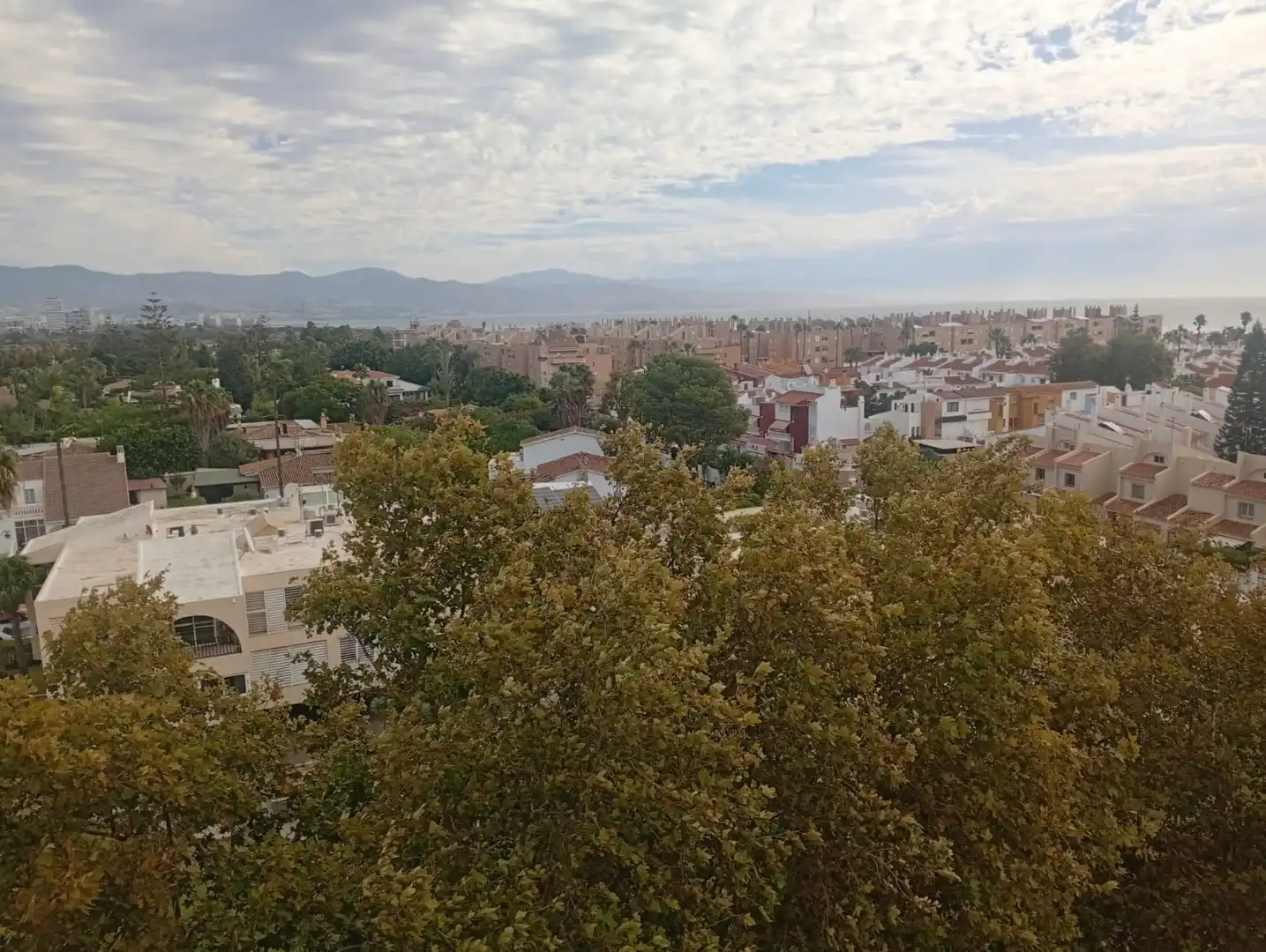 Vista exterior de Estudio de alquiler en Málaga con Terraza, Amueblado y Piscina comunitaria