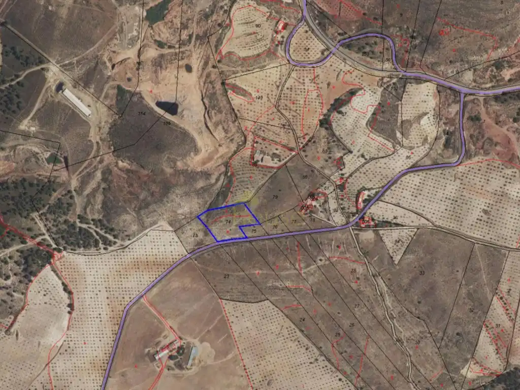 Finca rústica en venta en Lorca