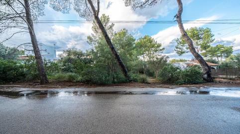 Photo 3 of Land for sale in Colònia de Sant Pere, Illes Balears