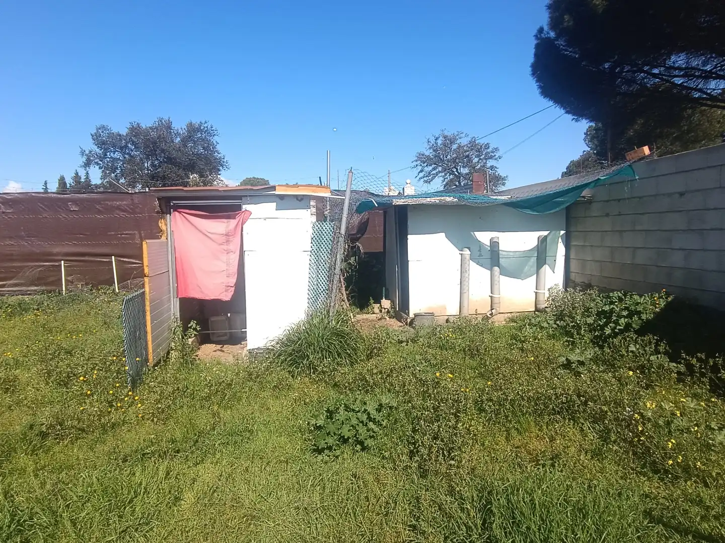 Terreni e lotti in vendita a Castilblanco de los Arroyos, imagen 18