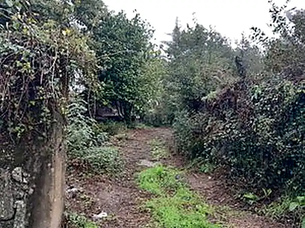 Terreno residencial en venta en Ponteareas, imagen 10