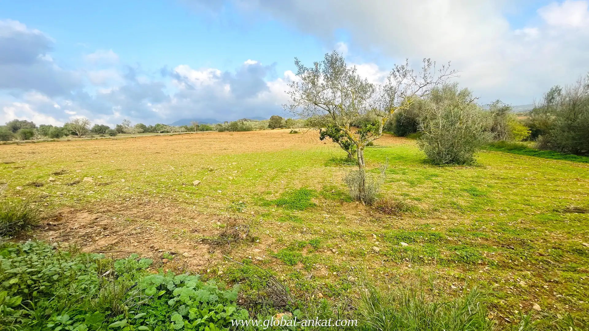 Maison rustique avec piscine à vendre à S'Horta - Cas Concos des Cavaller - Es Carritxó, imagen 12