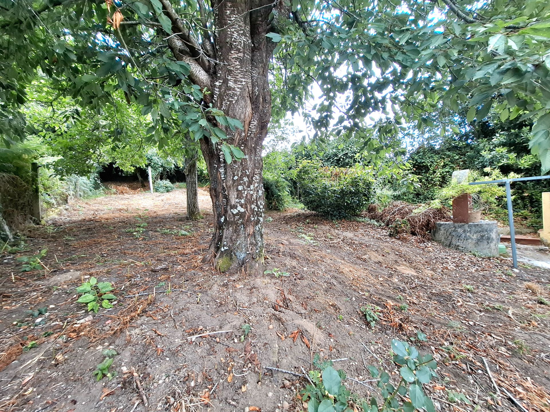 Casa o xalet en venda en Vigo  amb Calefacció, Jardí privat i Terrassa