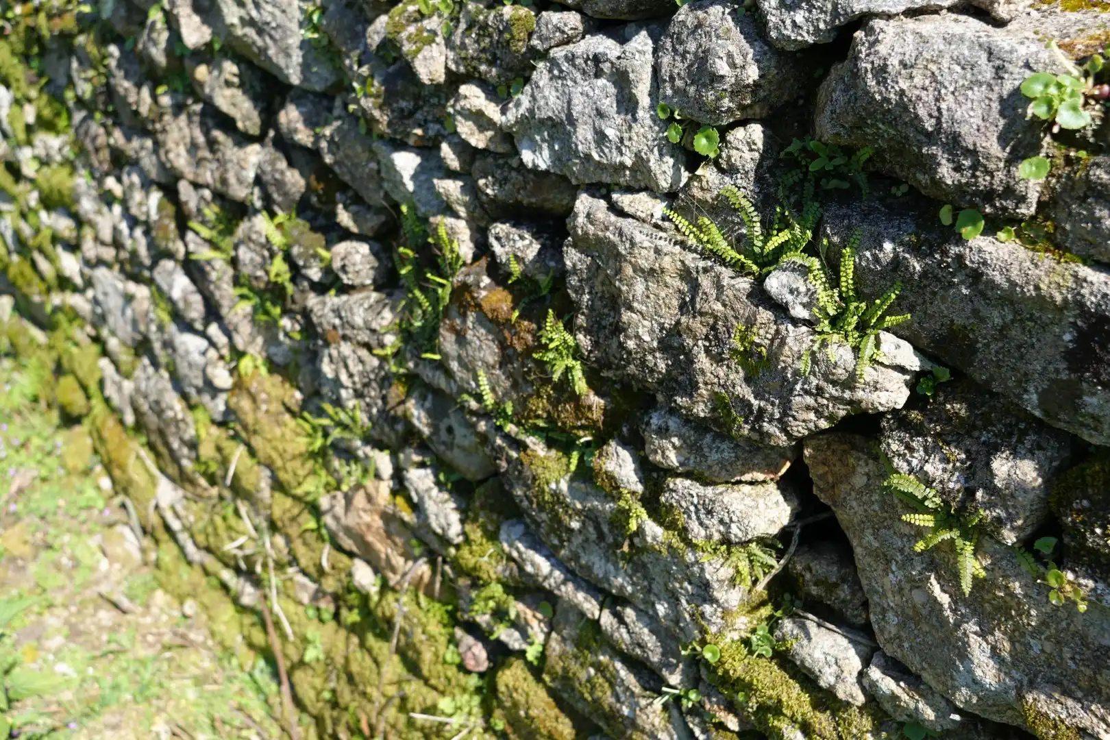 Außenansicht von Residential zum Verkauf in Moraña