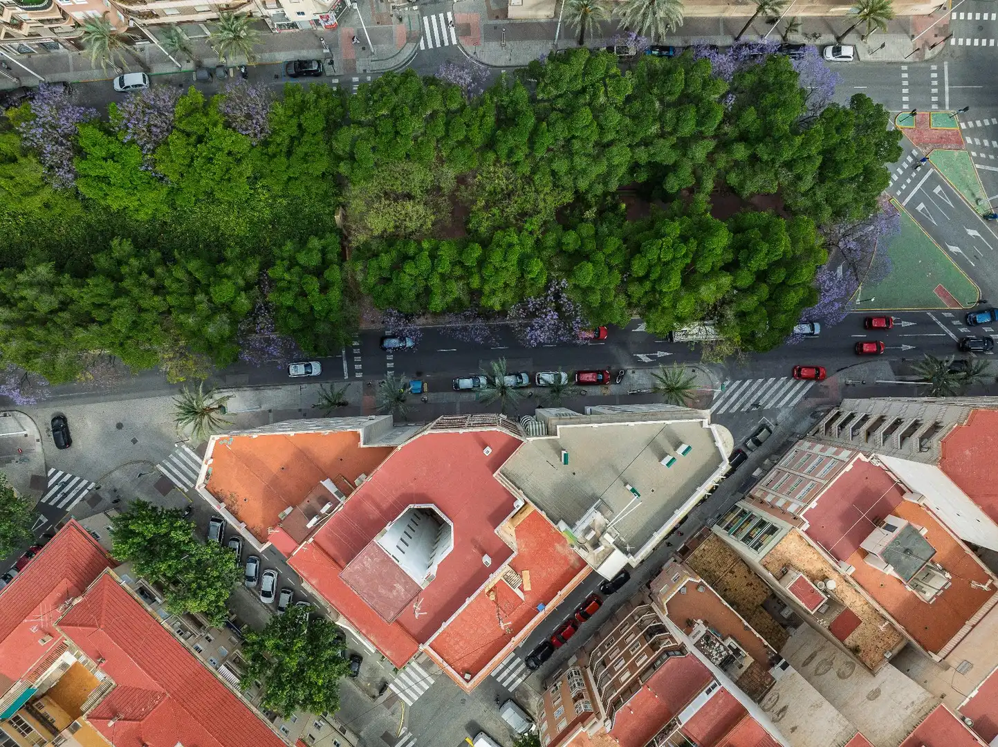 Vista exterior de Piso en venta en Elche / Elx con Aire acondicionado, Terraza y Balcón