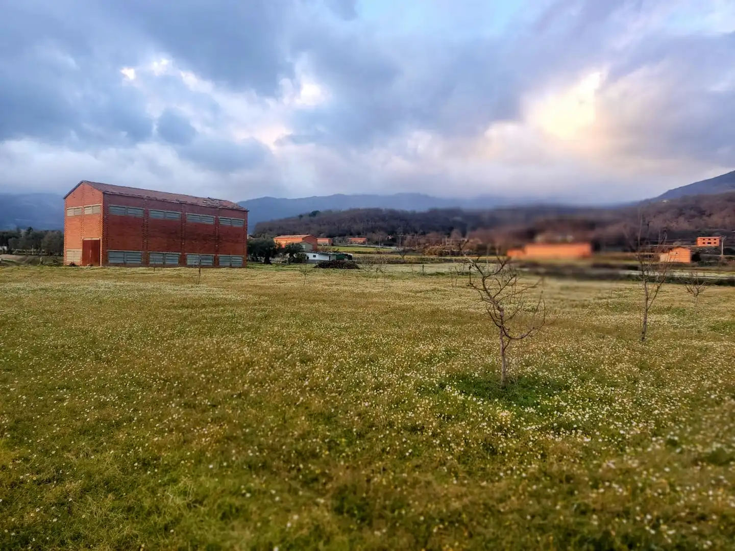 Terreni e lotti in vendita a Avenida de la Vera, imagen 6