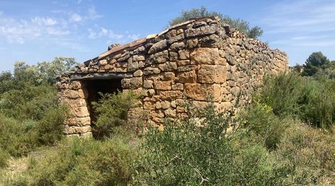Finca rústica con maset en Calaceite