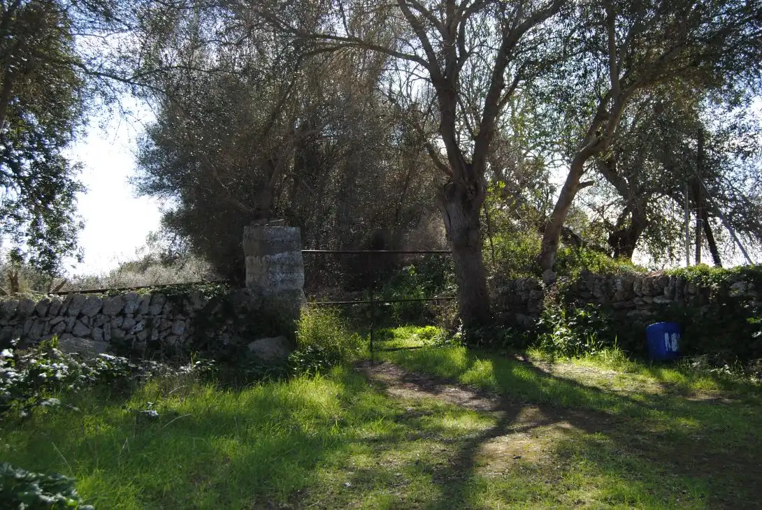 Terreno rustico in vendita a Diseminado Diseminados Var 248, imagen 10