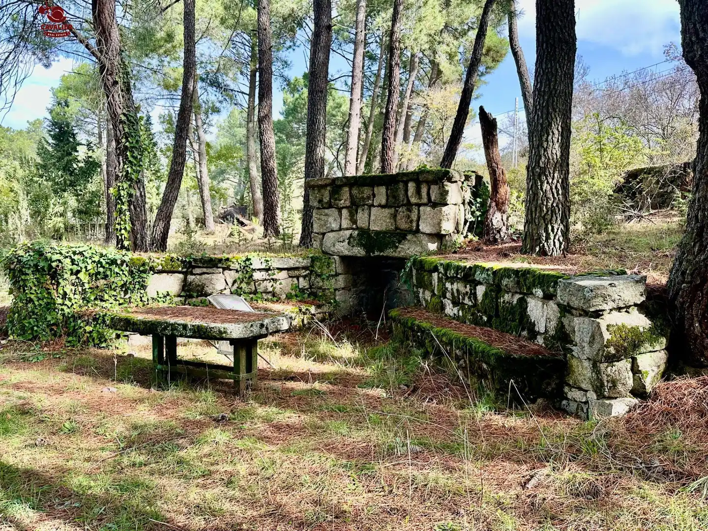 Casa con giardino in vendita a Los Molinos, imagen 11