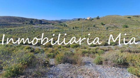 SE VENDE SOLAR DE 20.000 M2 DE SUPERCICE DE PARCELA!, immagine 2
