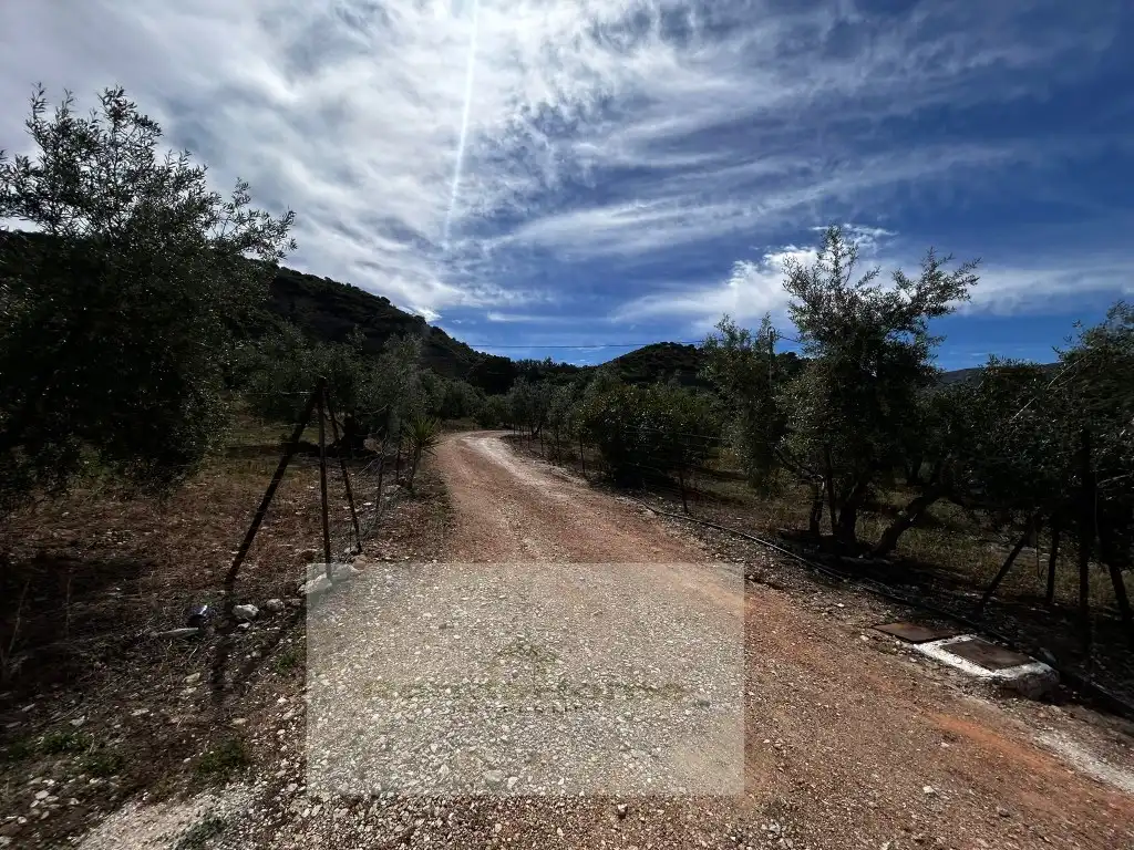 Finca rústica en venda en Ronda amb Piscina