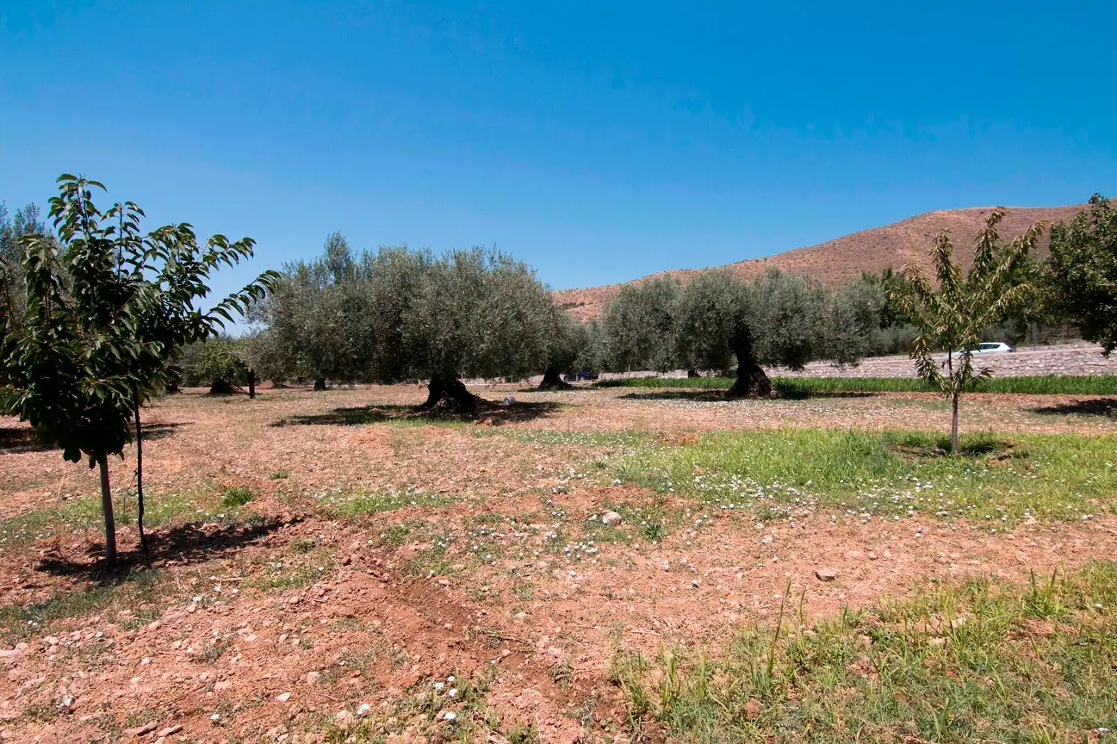 Finca rústica en venta en Güéjar Sierra con Terraza, Piscina y Balcón
