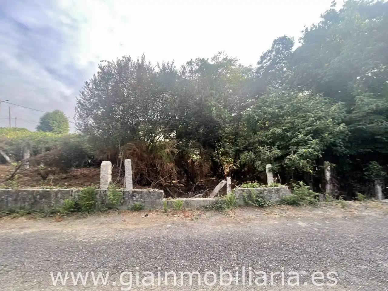 Terreny rústic en venda a Camino Pregal 5