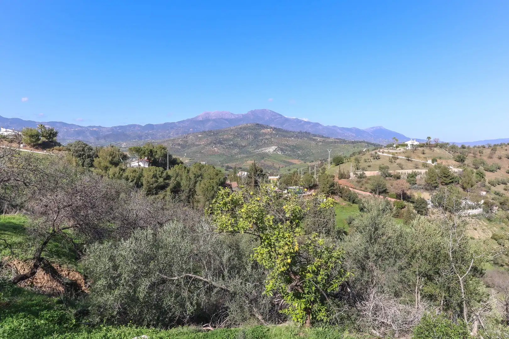 Casa con jardín en venta en Avenida de Andalucía, imagen 24