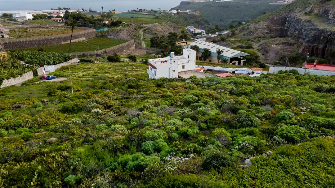 Finca rústica en venta en Moya (Las Palmas)
