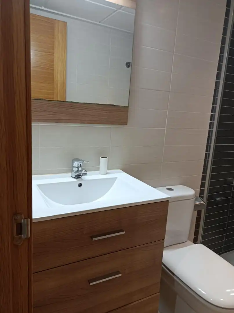Badezimmer von Wohnung zur Miete in Elche / Elx mit Klimaanlage und Möbliert