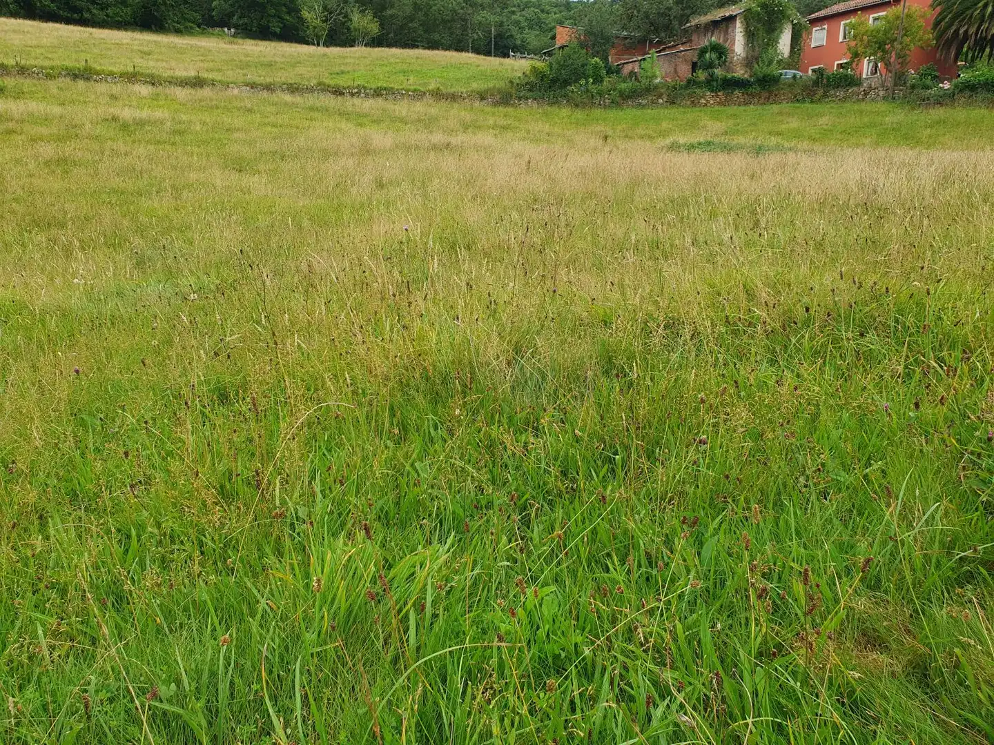 Residential land for sale in Grado, imagen 7