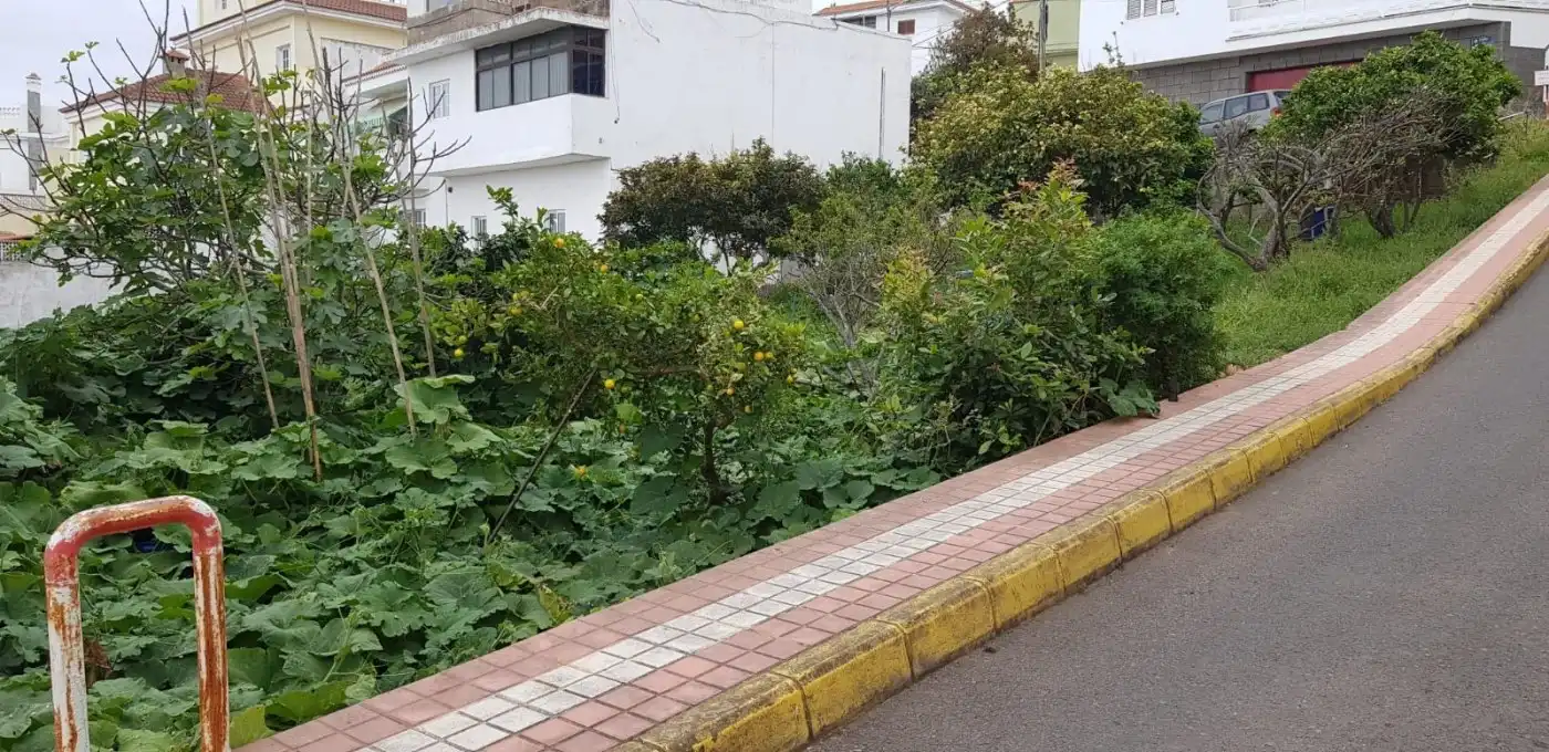 Terrenys i solars en venda a Firgas, imagen 8