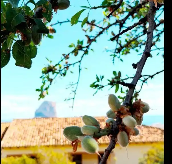 Jardín de Casa o chalet en venta en Calpe / Calp con Aire acondicionado, Calefacción y Jardín privado