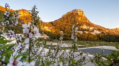 Foto 4 de Casa o chalet en venta en Port d'Andratx, Andratx