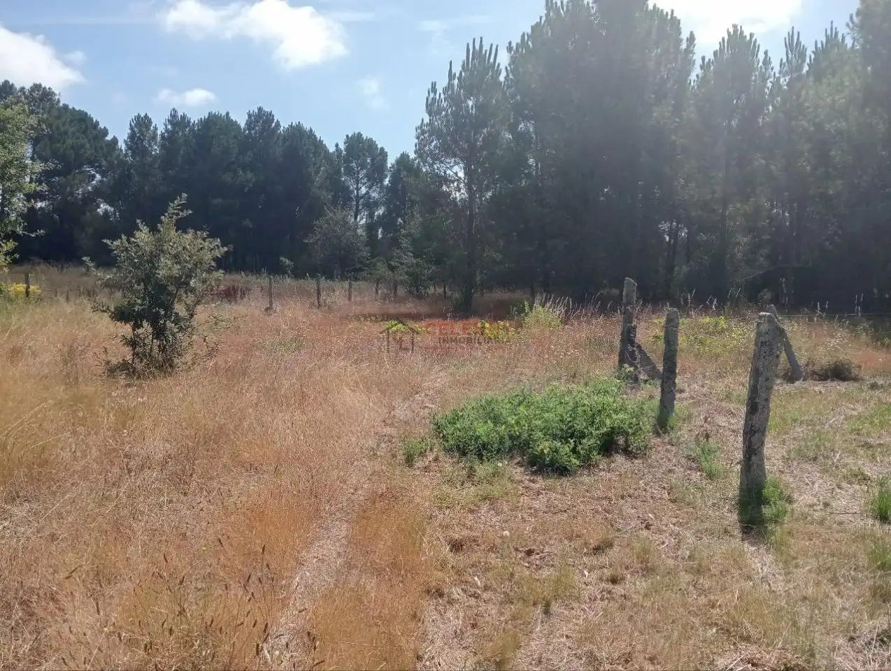 Terreni e lotti in vendita a San Cibrao das Viñas, imagen 9