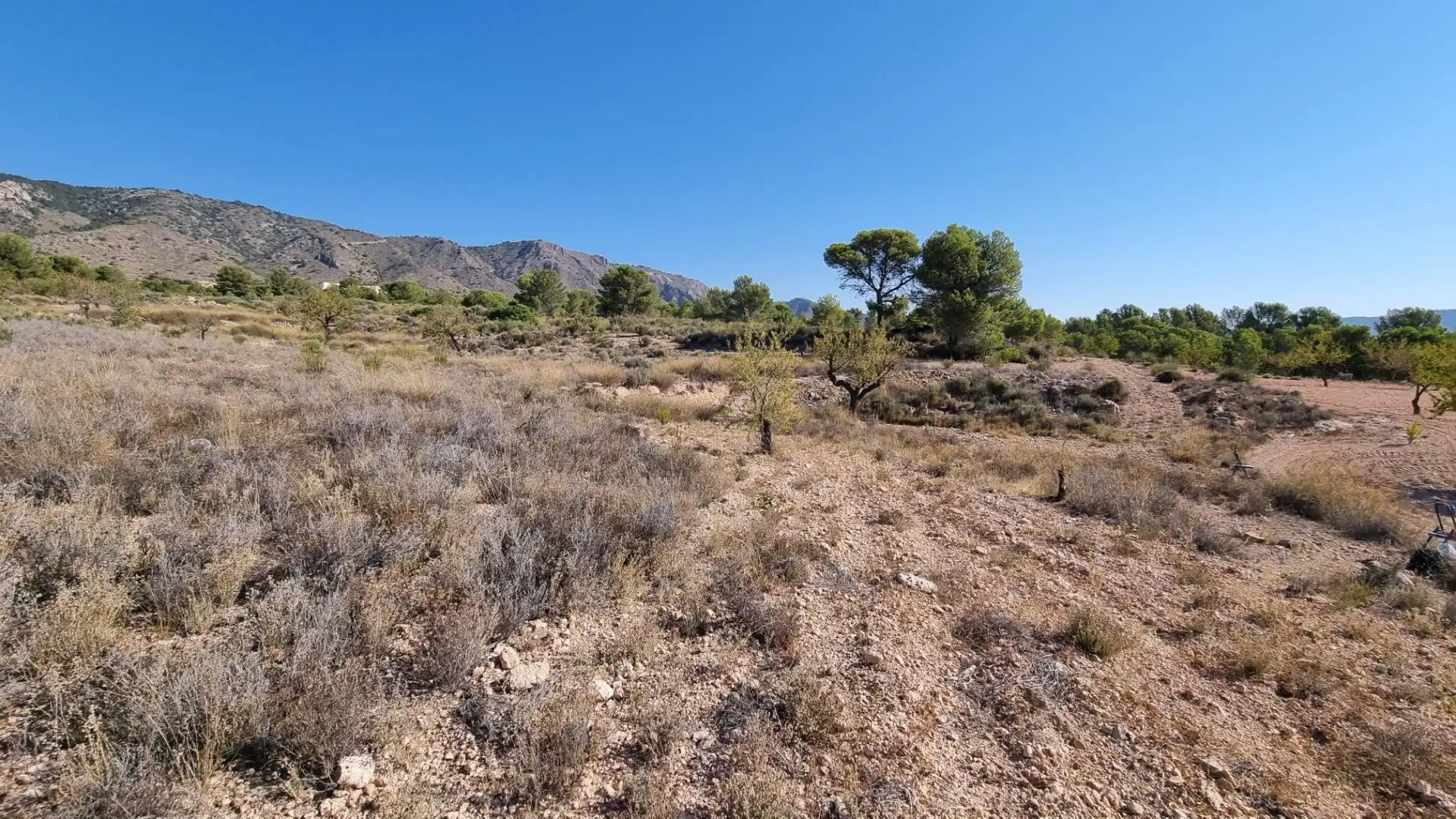 Lands and plots for sale in Abanilla, imagen 8