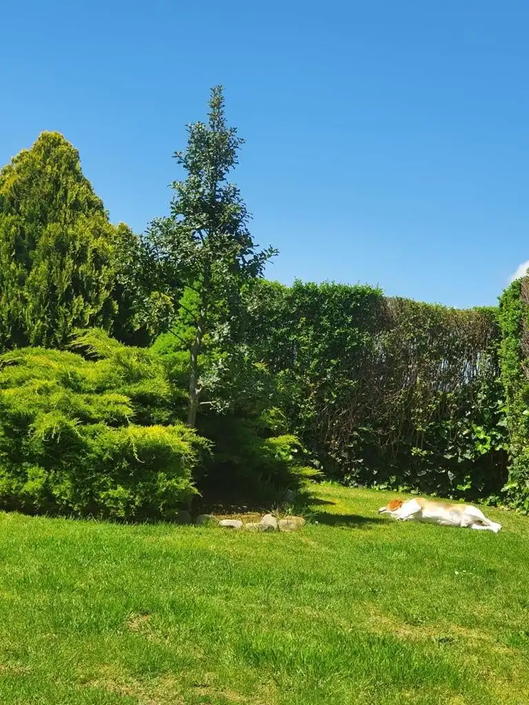 Jardín de Casa adosada en venta en Haro con Calefacción, Jardín privado y Terraza