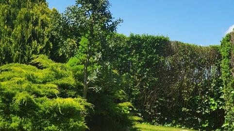 Photo 4 of Single-family semi-detached for sale in Calle Terrero, Haro, La Rioja