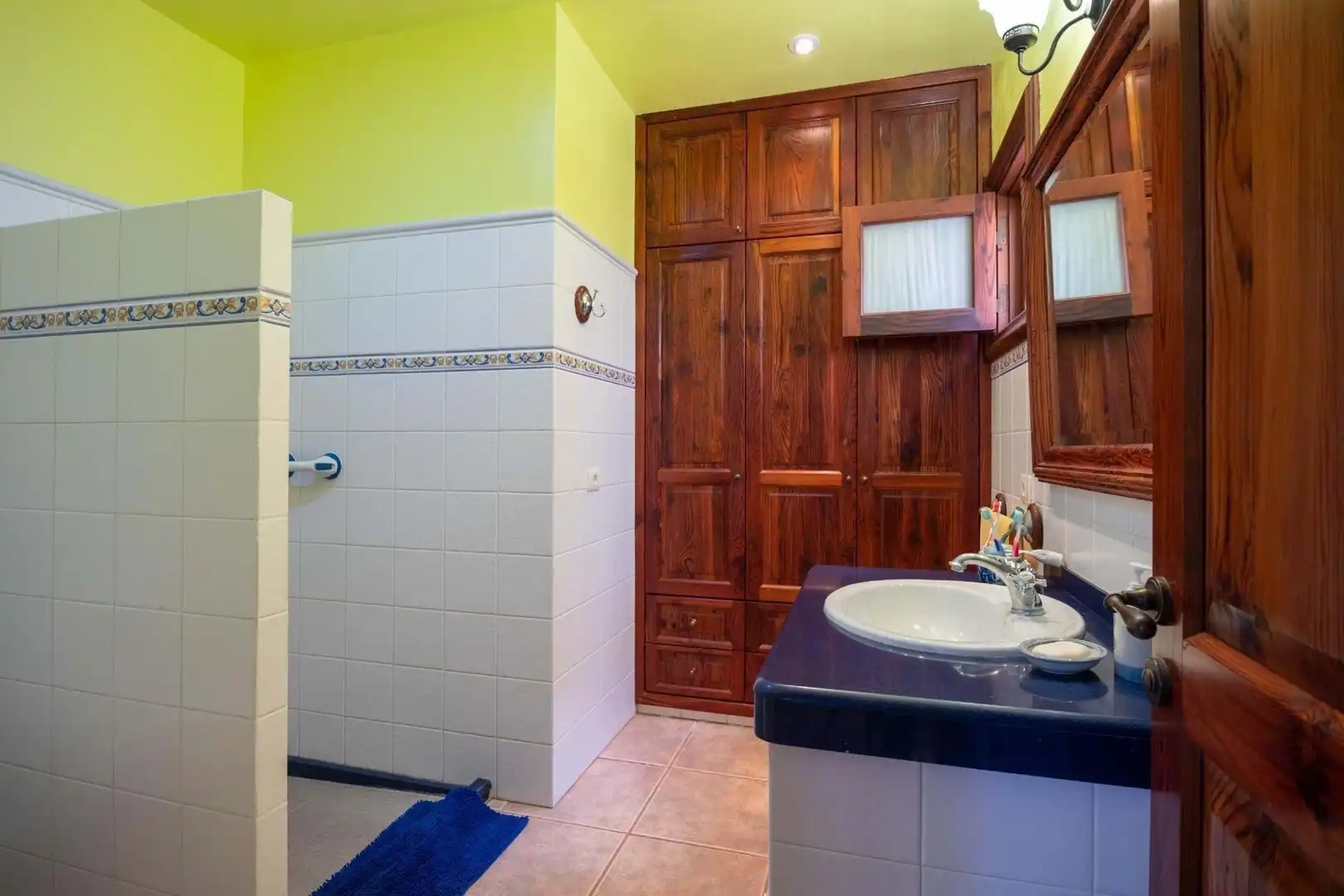 Bathroom of Houses for sale in San Cristóbal de la Laguna  with Terrace