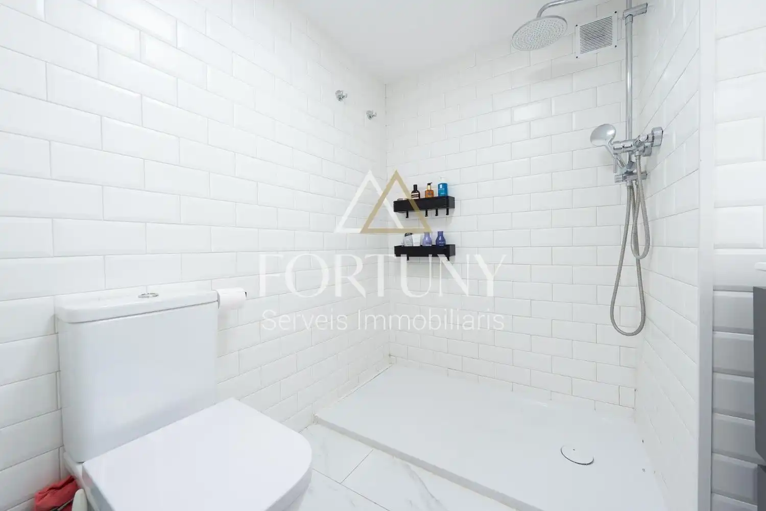 Flat with lift for sale in de Santa Anna 29, imagen 29