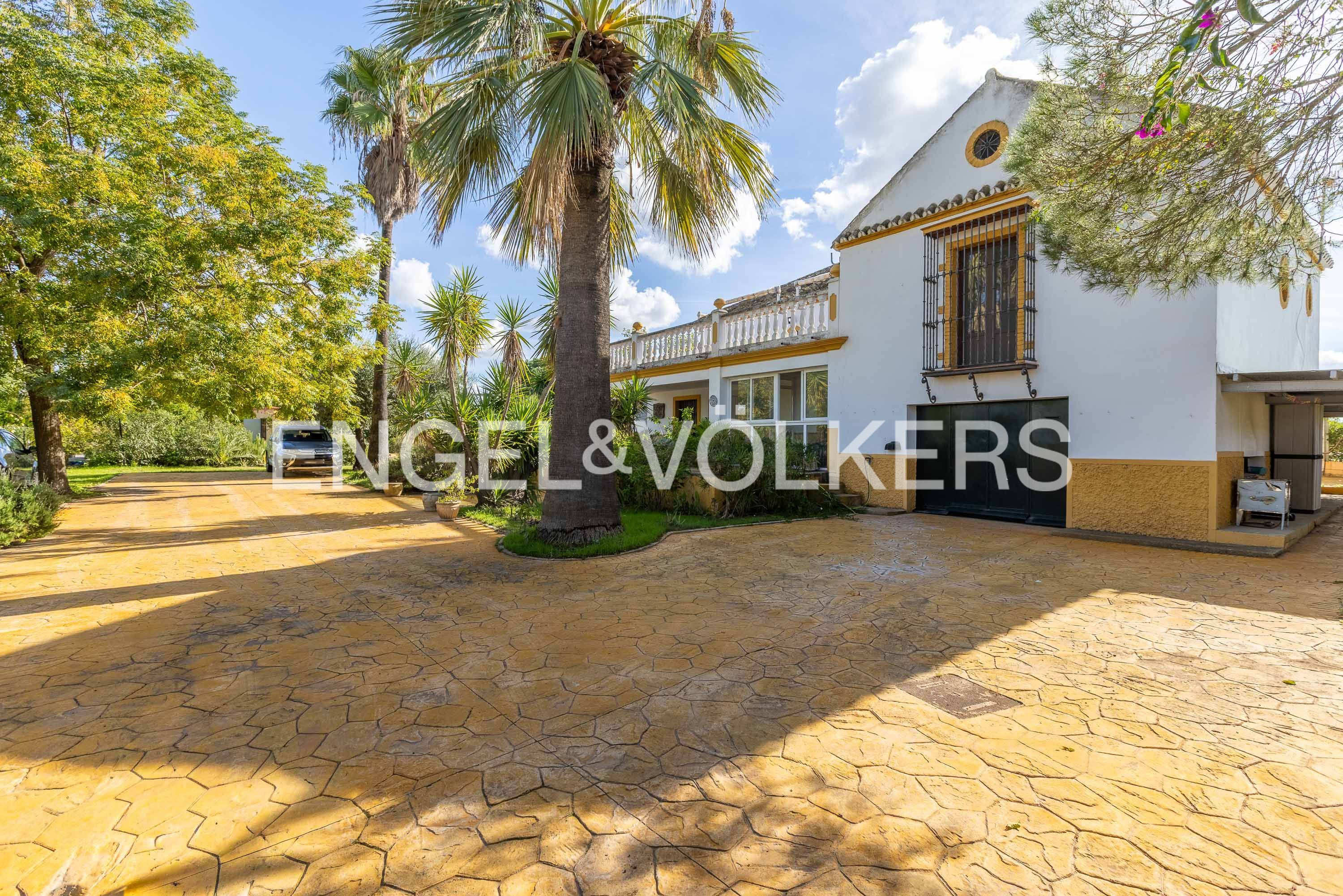 Vista exterior de Casa o xalet en venda en Morón de la Frontera amb Aire condicionat, Calefacció i Jardí privat