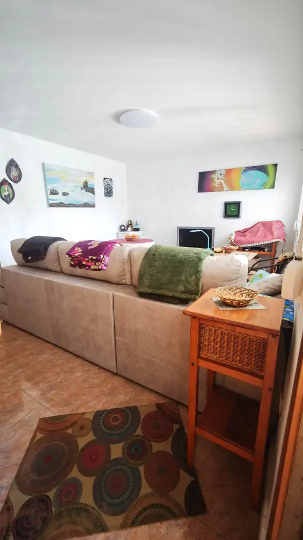 Living room of Detached homes for sale in Roquetas de Mar  with Terrace