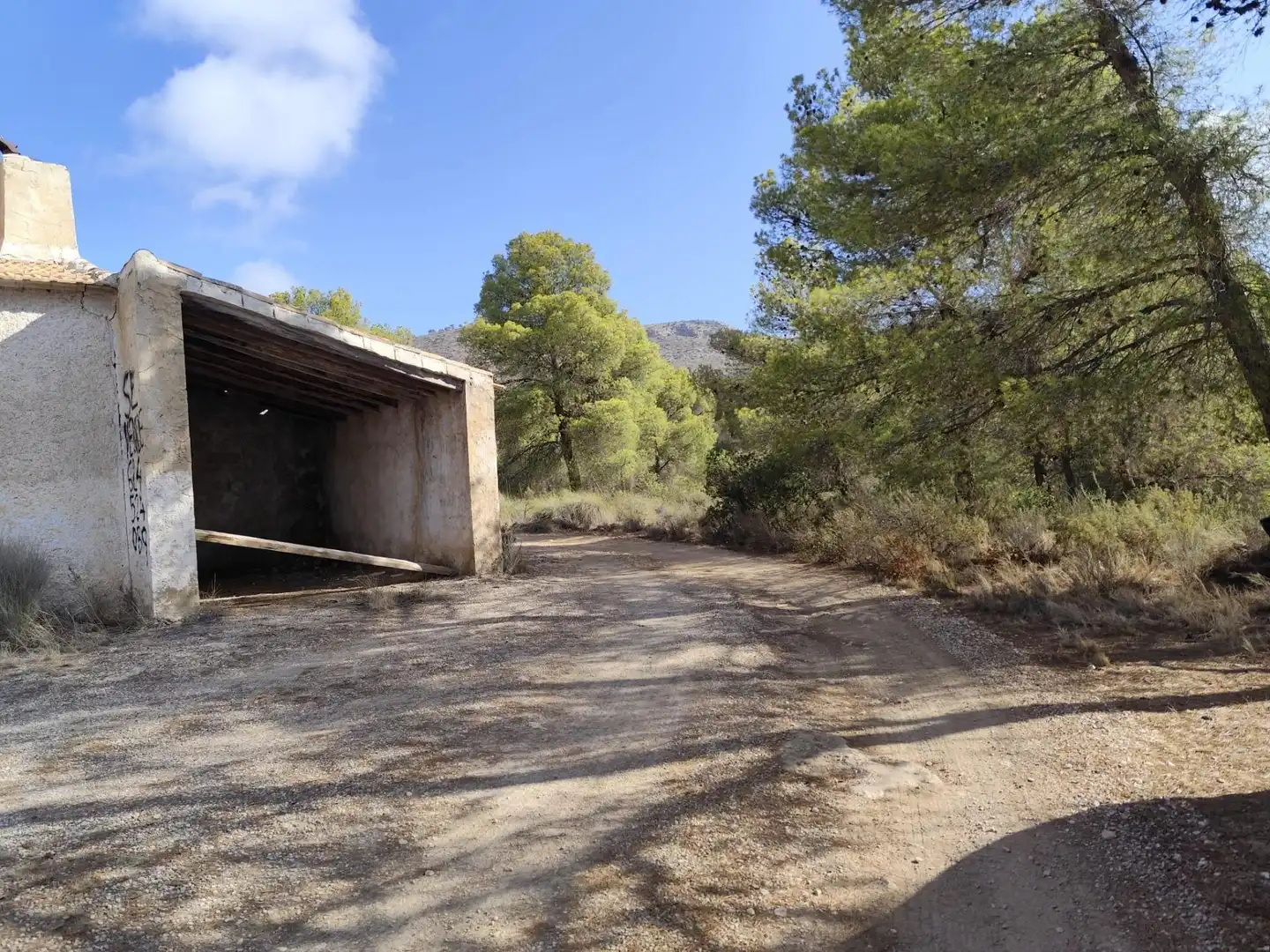 Terrenys i solars en venda a Totana, imagen 22