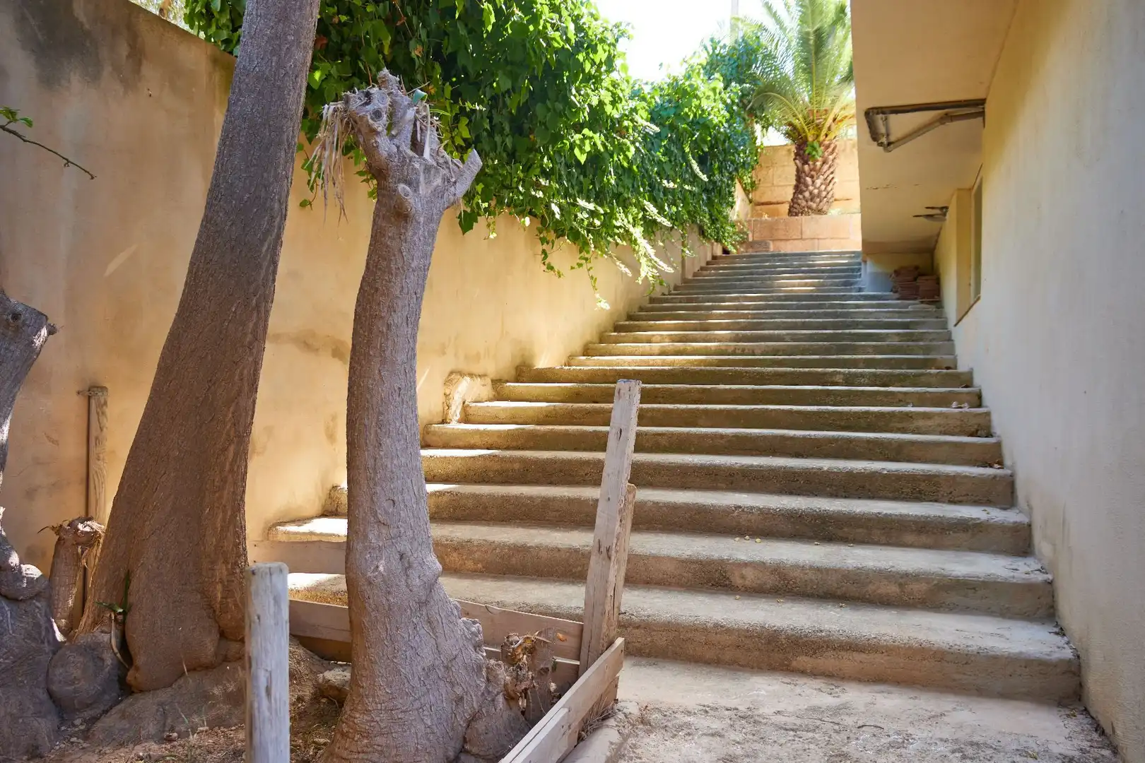 Casa o xalet en venda en  Palma de Mallorca
