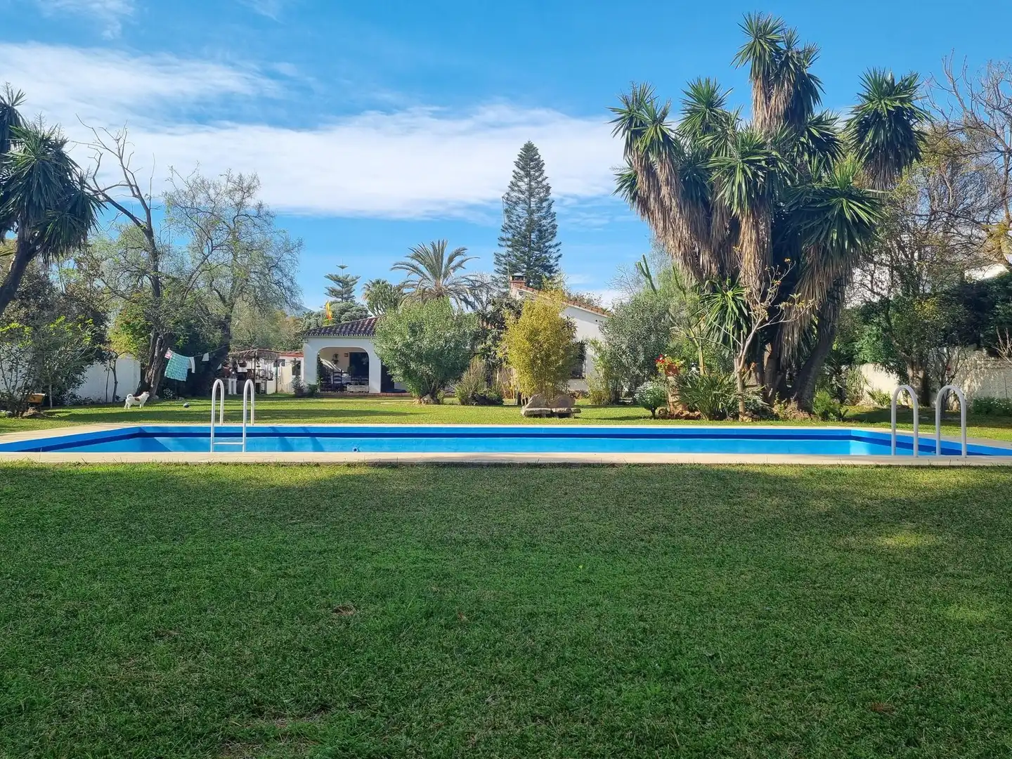 Villa con piscina in vendita a Avenida José Banús 32, imagen 28
