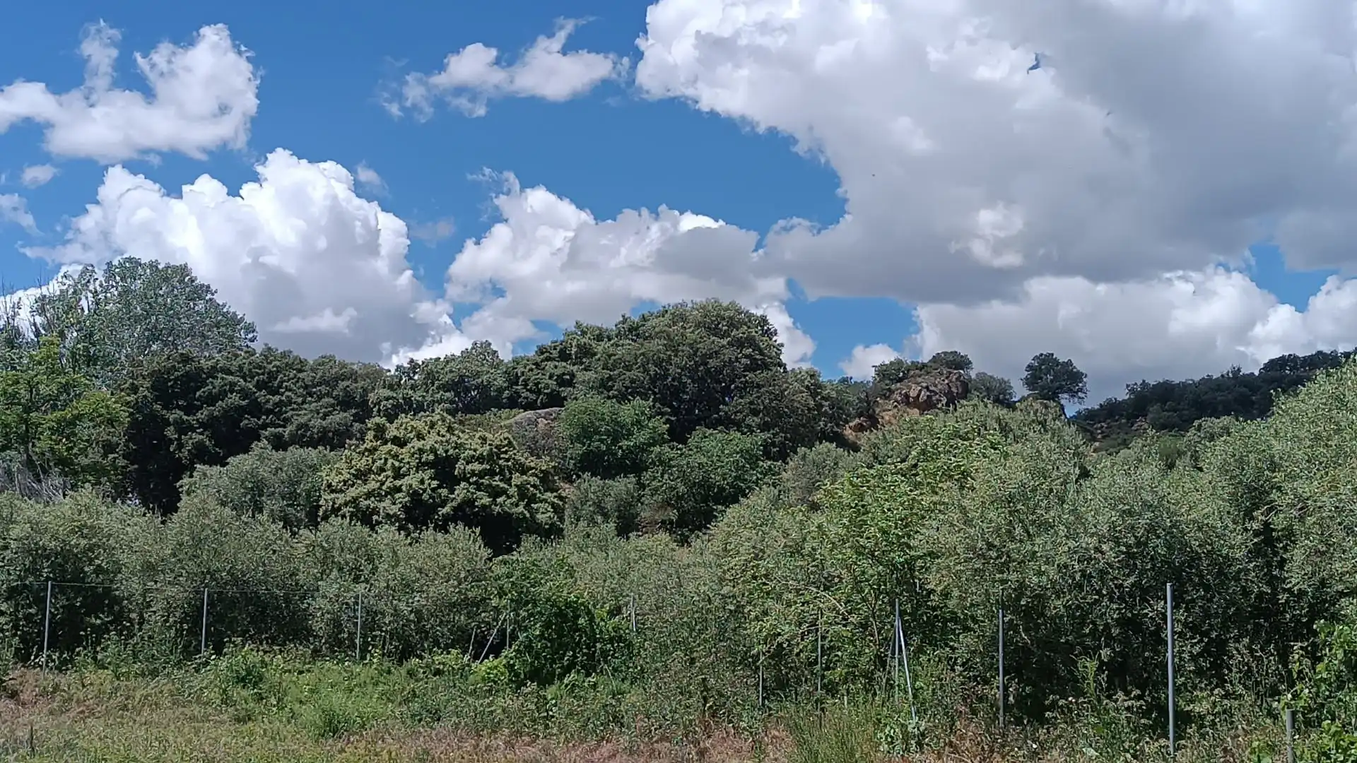 Terreni e lotti in vendita a Almunia de San Juan, imagen 8