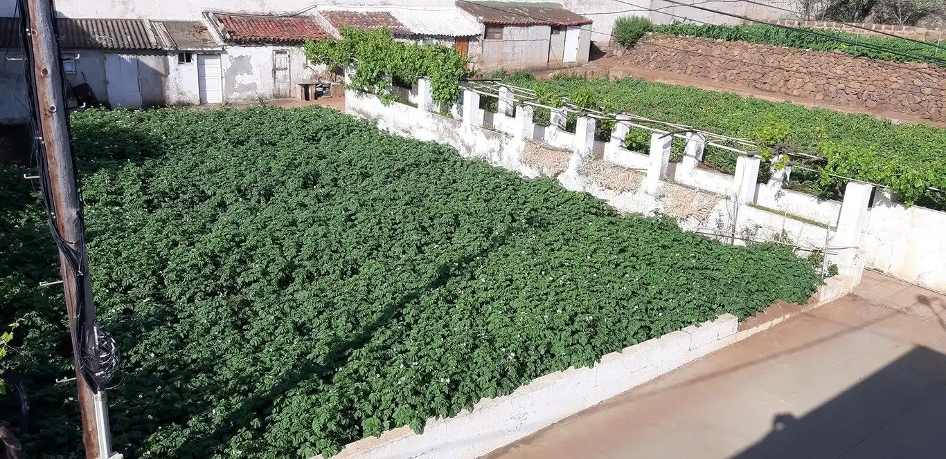 Garten von Residential zum Verkauf in San Cristóbal de la Laguna