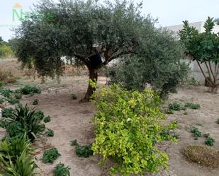 Casa o xalet en venda en  Murcia Capital