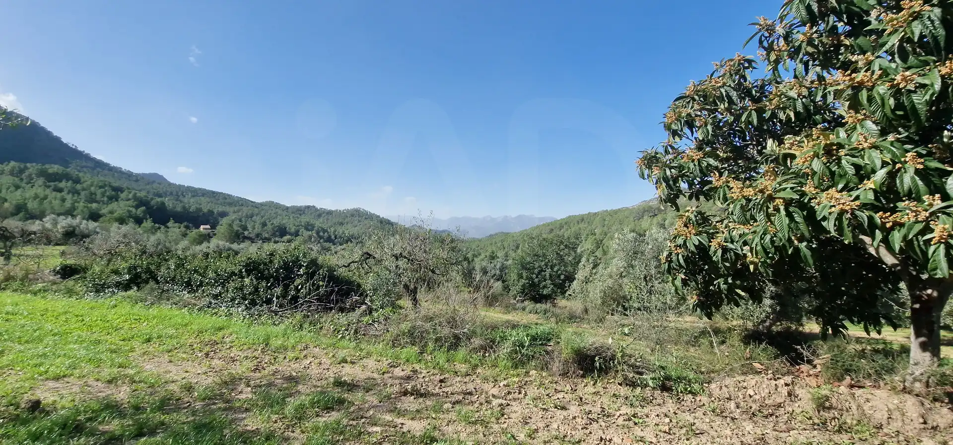 Residencial en venta en Rasquera