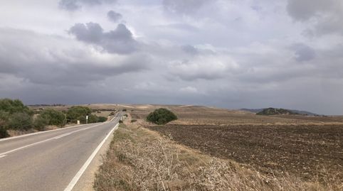 Foto 5 de Terreny en venda a Carretera Vejer- el Palmar, El Palmar, Vejer de la Frontera