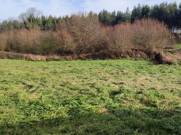 Terrain résidentiel à vendre à Lugar Canteiros 1