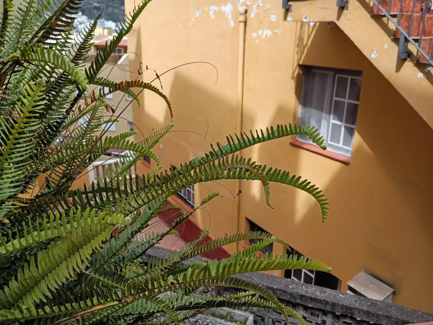 Terrassa de Casa o xalet en venda en Icod de los Vinos amb Terrassa i Balcó