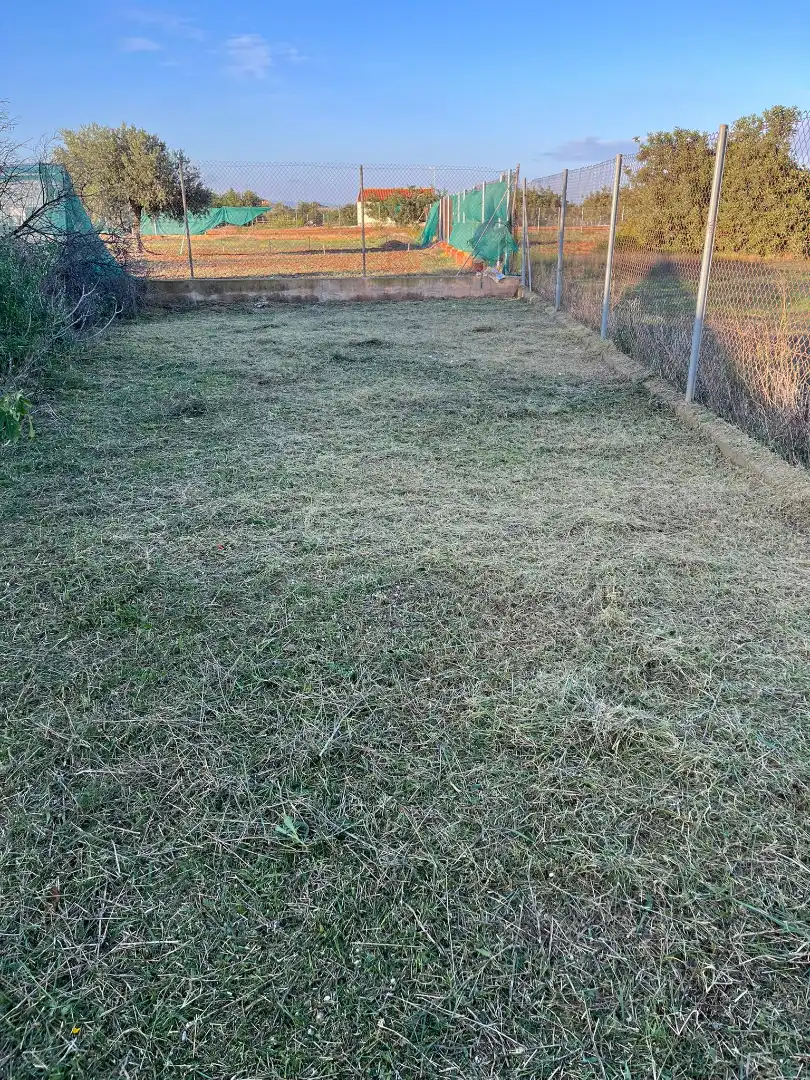 Finca rústica en venta en Pasaje la Ermita, Albujón