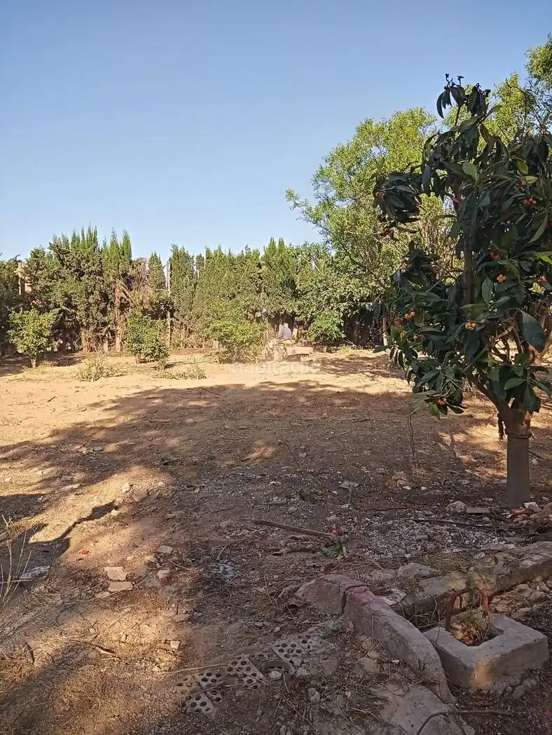 Terreni e lotti in affitto a Avenida de San Javier 29D, imagen 5