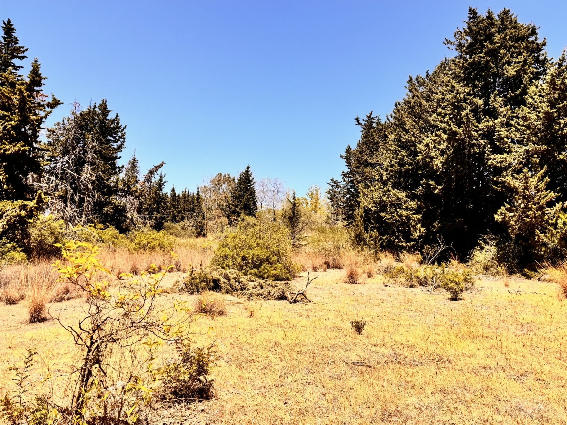 Residencial en venda en Estepona