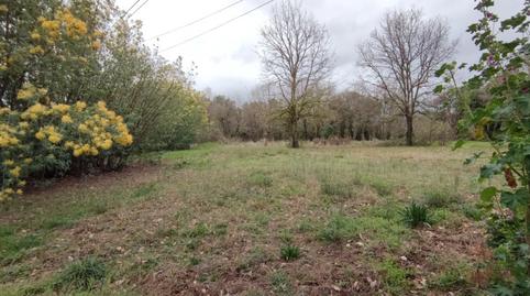 Foto 2 de Finca rústica en venda a Riells i Viabrea, Girona