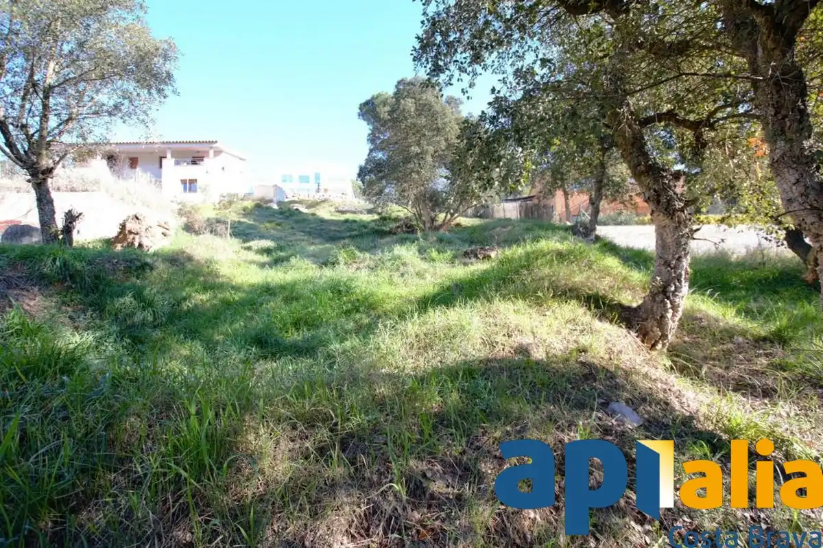 Residential land for sale in Carrer Avet 26, imagen 2